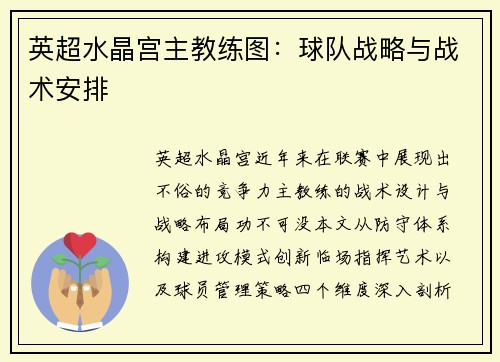 英超水晶宫主教练图：球队战略与战术安排