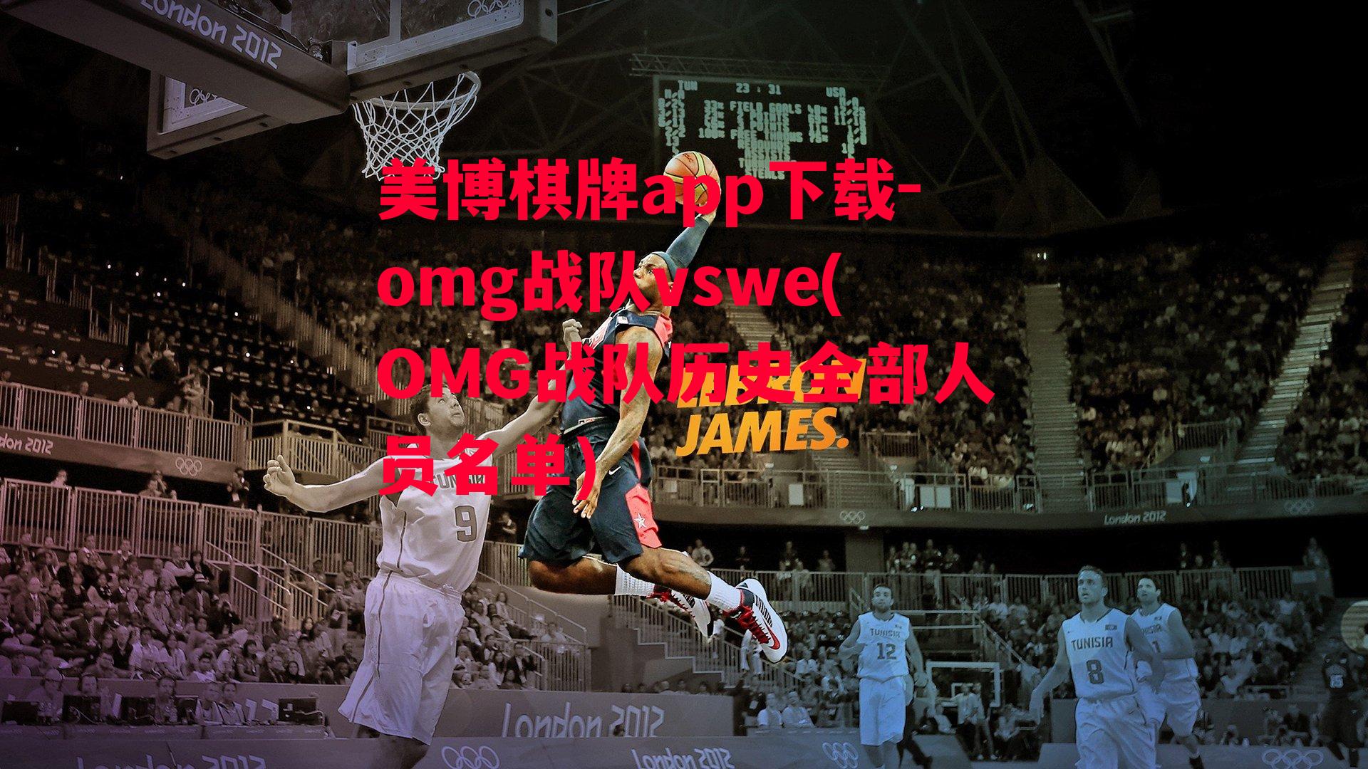 omg战队vswe(OMG战队历史全部人员名单)